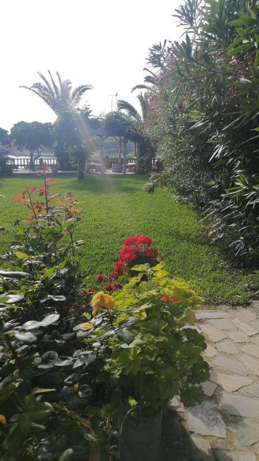 קאונופטרה Dionisis Apartments מראה חיצוני תמונה