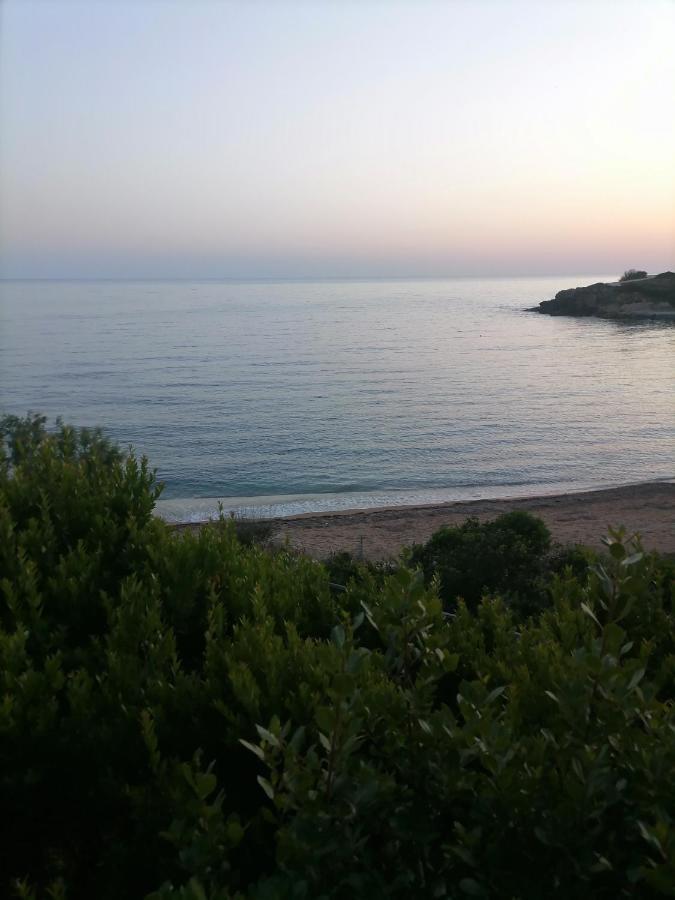 קאונופטרה Dionisis Apartments מראה חיצוני תמונה