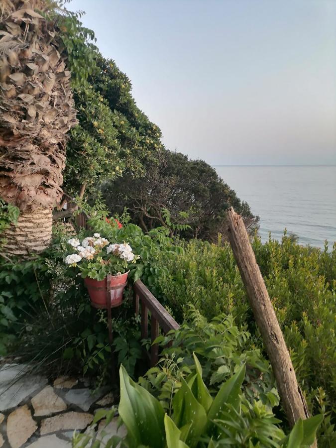 קאונופטרה Dionisis Apartments מראה חיצוני תמונה