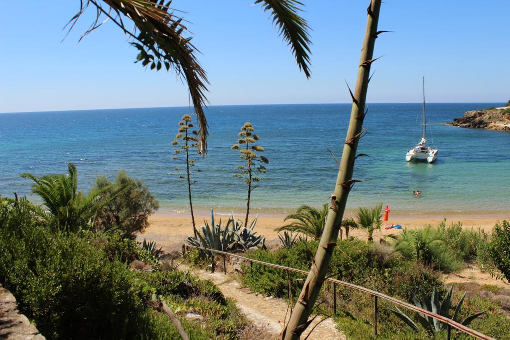 קאונופטרה Dionisis Apartments מראה חיצוני תמונה