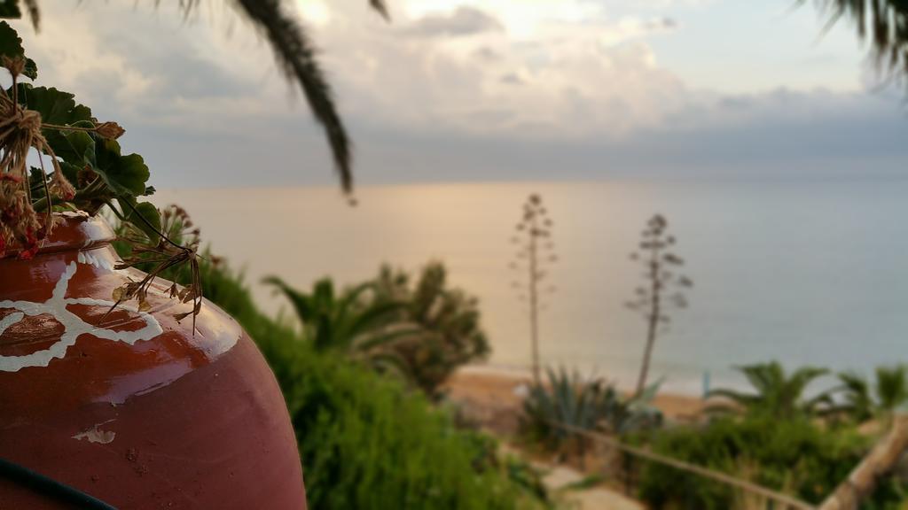 קאונופטרה Dionisis Apartments מראה חיצוני תמונה